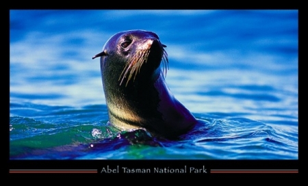 Abel Tasman New Zealand