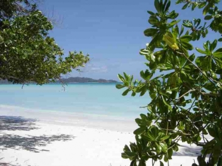 Praslin Seychelles Image