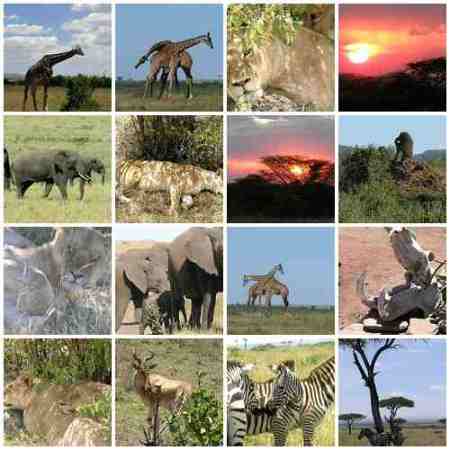 Masai Mara Image