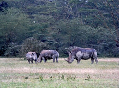 Aberdare National Park Kenya Image