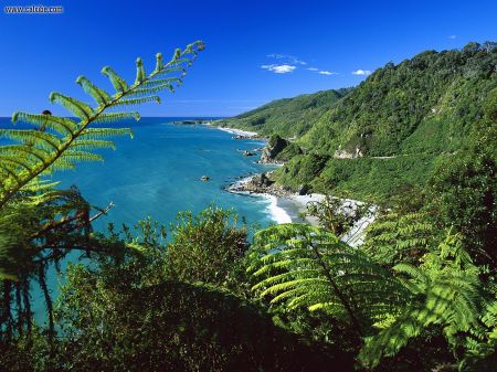 South Island New Zealand - Paparoa National Park